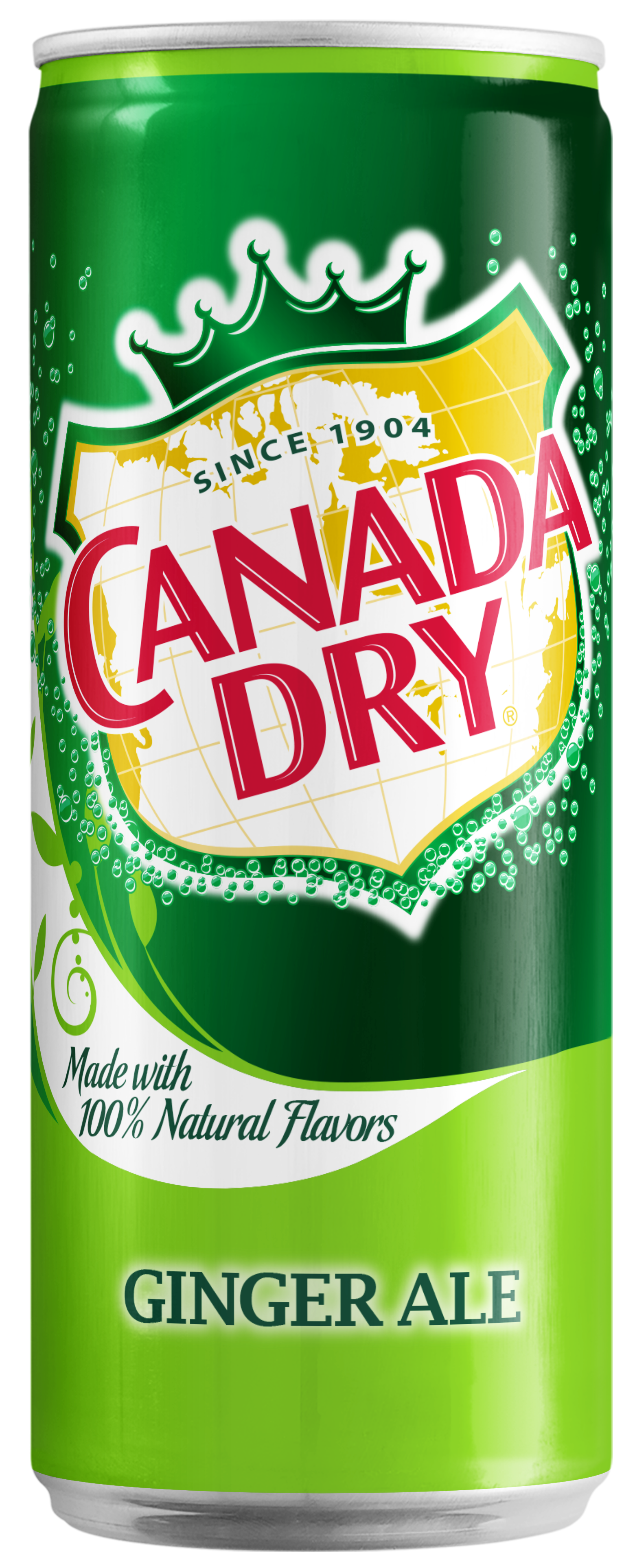 Bautura racoritoare carbogazoasa Canada Dry Ginger Ale, Doza, 12 x 0.33L