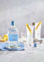 Load image into Gallery viewer, Hayman&#39;s of London Dry Gin, 41.2%, 1L
